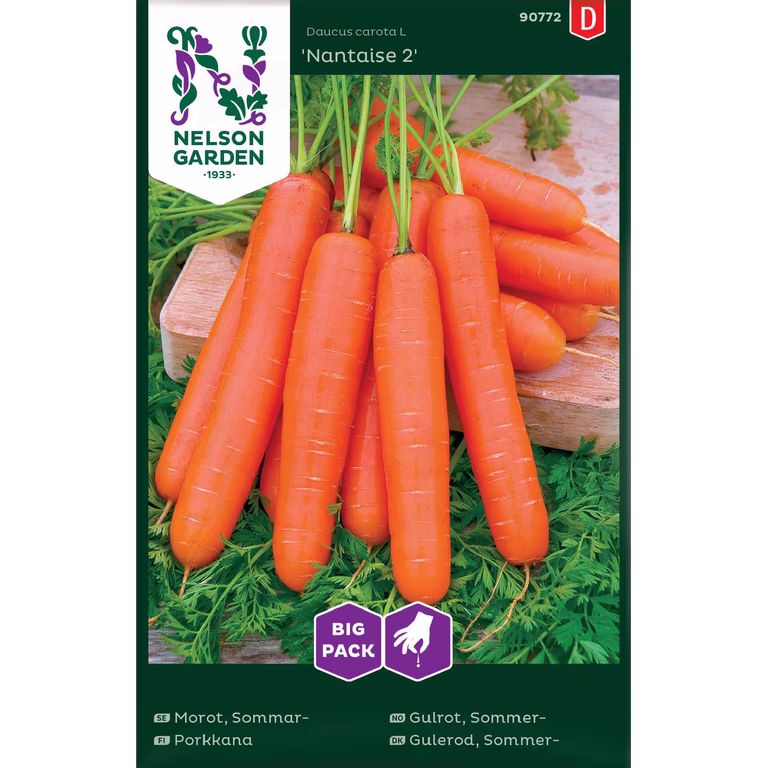 Sommergulrot 'Nantaise 2'