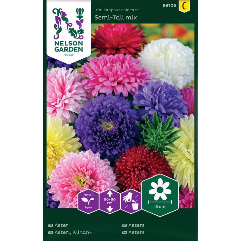 Asters mix