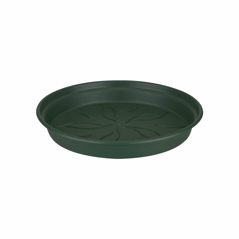 Fat Elho Green basics