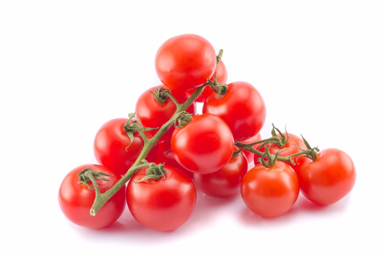 Cherrytomat ‘Cerise’