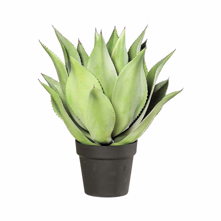 Agave kunstig