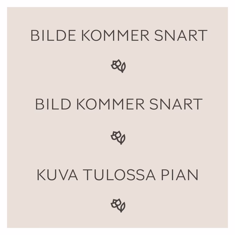 Sommerfuglbusk 'Butterfly Candy'
