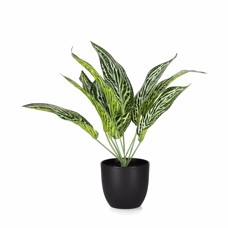 Green plant mix potted H27/4 ass green
