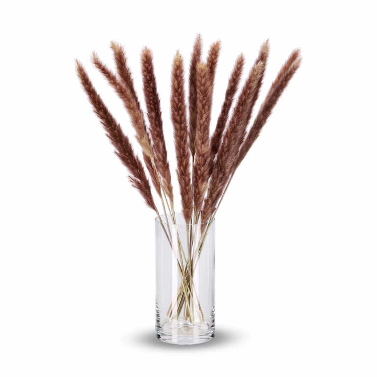 Pampas