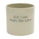 Pot Felt Cute Might Die Later