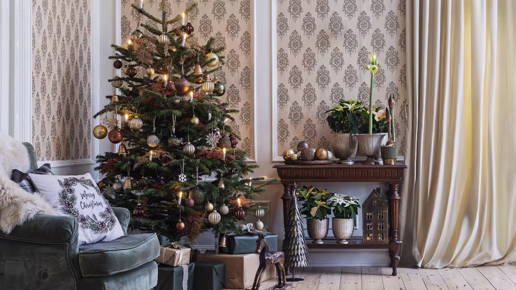 How to Care for Your Christmas Tree – Tips and Advice