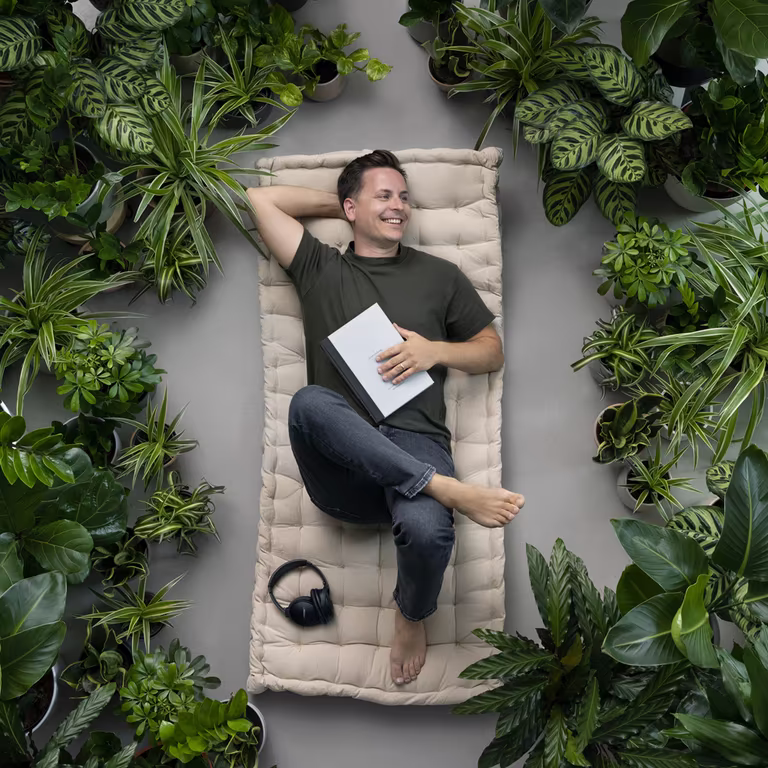 Lettstelte planter 
