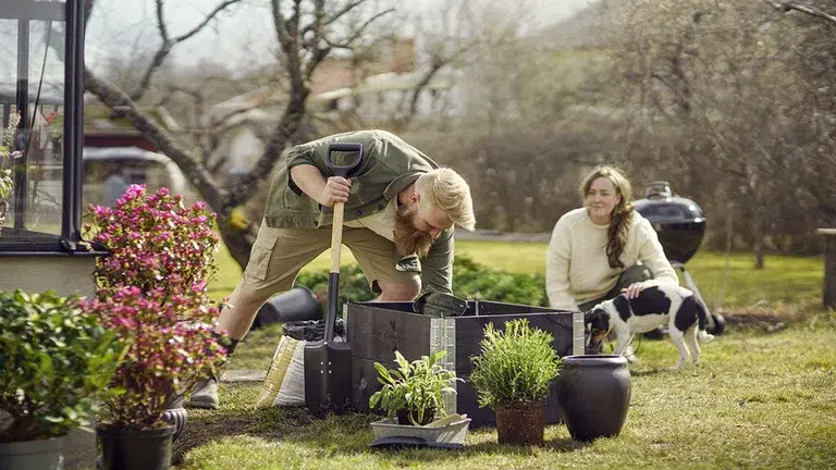 Planting box for beginners