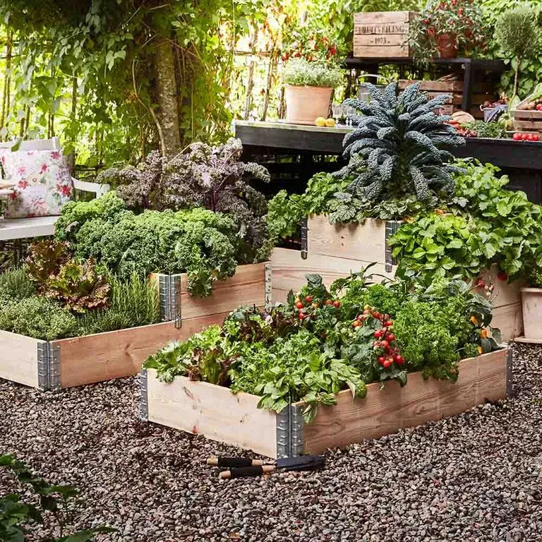 Grow in a planting box