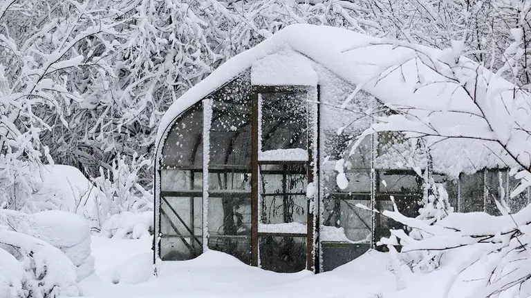 February - this is what you can sow and cultivate