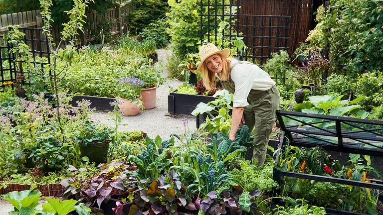 August - this is what you can sow and grow