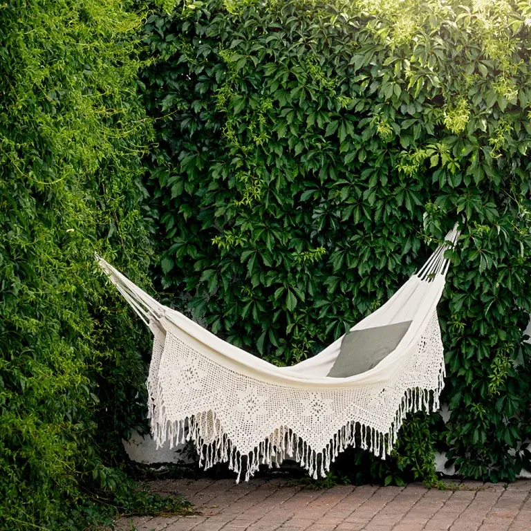 Choosing a hedge – Different types of hedges and what they are suitable for