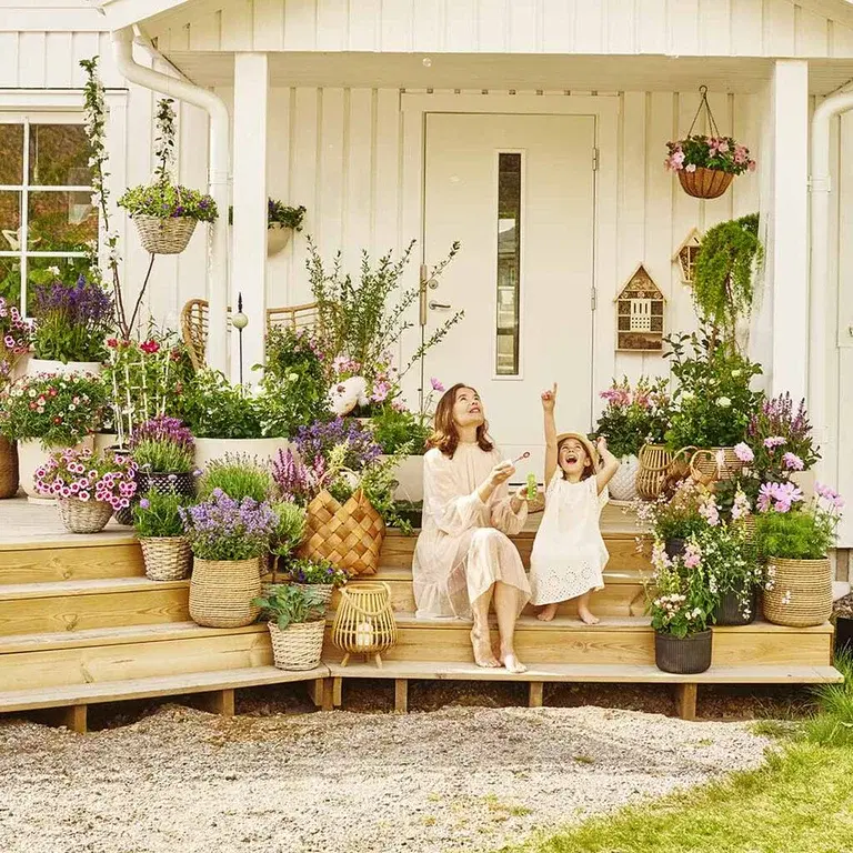 Summer flowers in pots – let them bloom in sun and shade