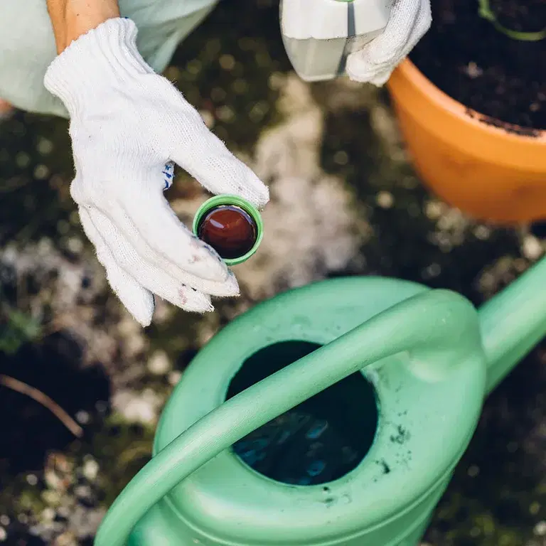 Cultivate climate smart - make your own fertilizer water