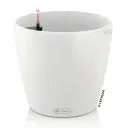 Selfwatering Pot Classico