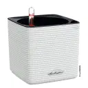 Selfwatering Pot Cube