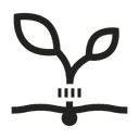 Harvest time  Jul - Sep month