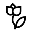 Flowering time Jun, Jul, Aug