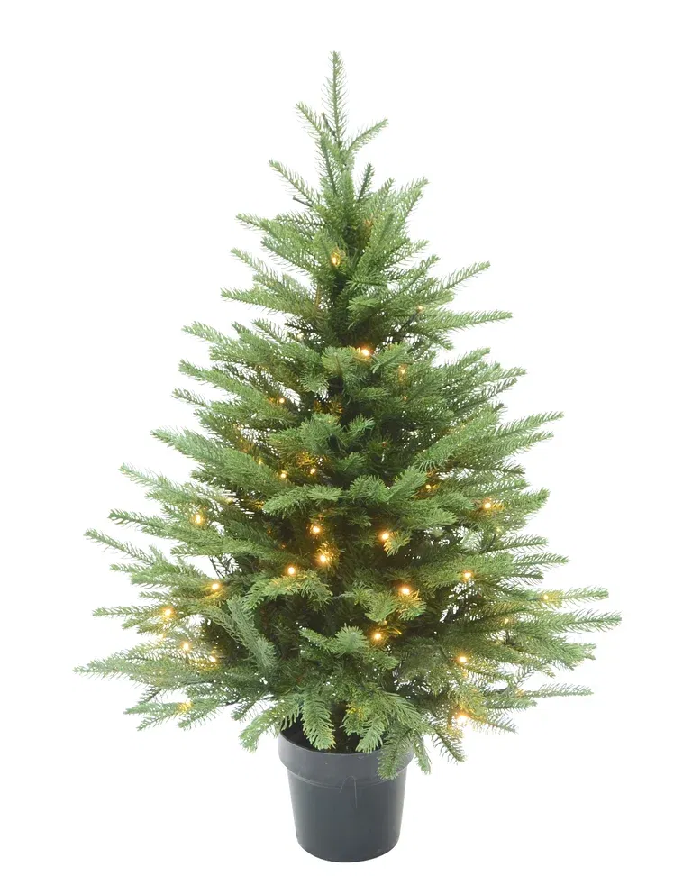 Christmas Tree with Lights