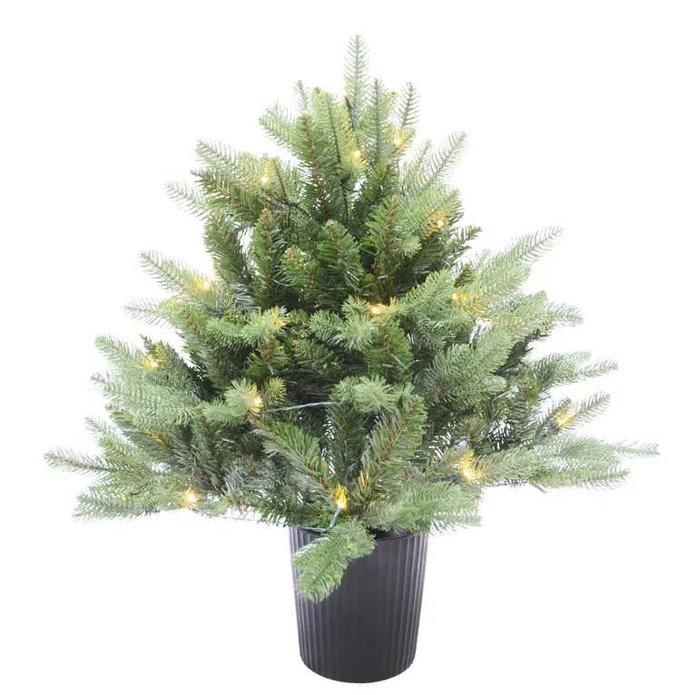 Christmas Tree with Lights