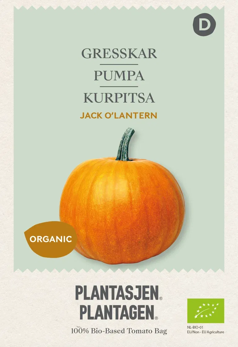 Pompoen Jack O'Lantern (BIO) - Organic