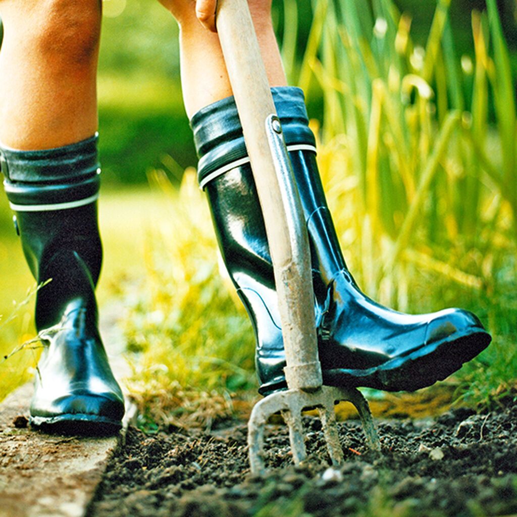 Image of Tips om hagestell