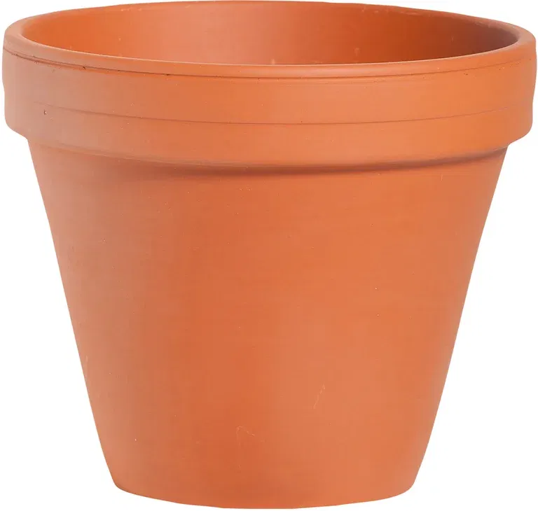 Plant pot D20 terracotta