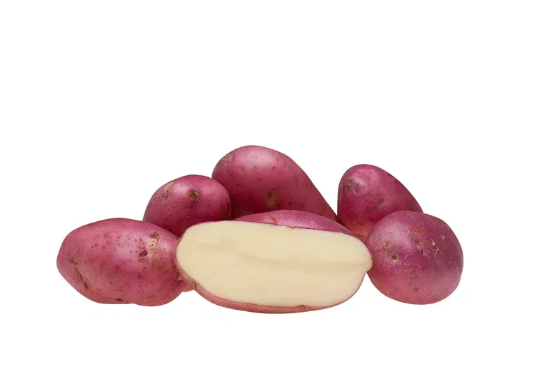 Settepotet Asterix 2,5 Kg