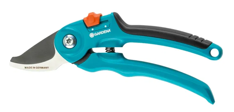 Secateurs B/S-M /Display