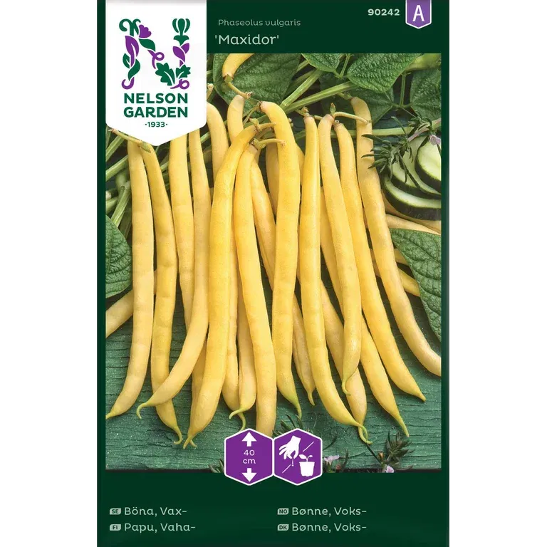 Böna, Vax-, Maxidor
