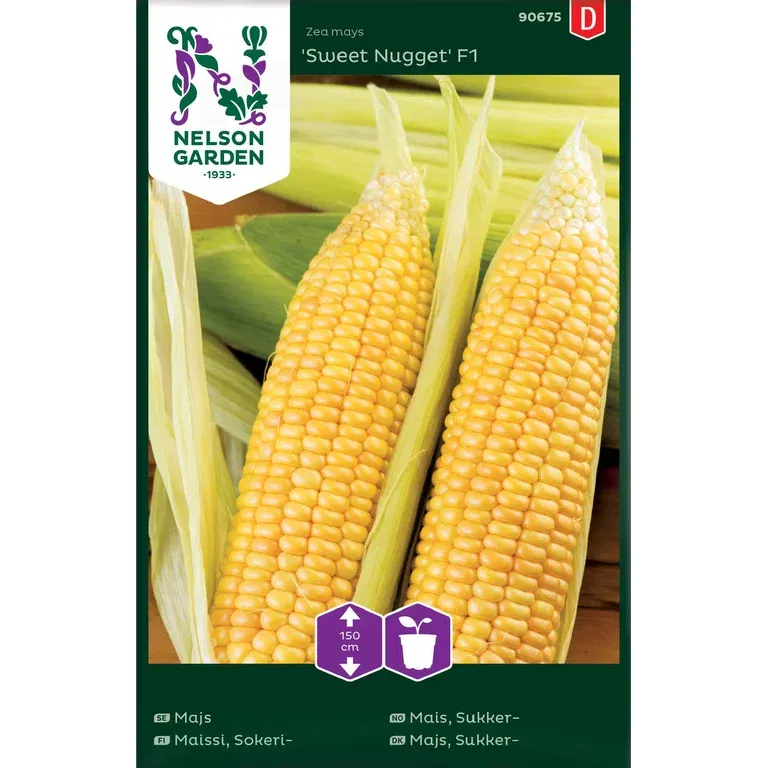 Majs, Sweet Nugget F1