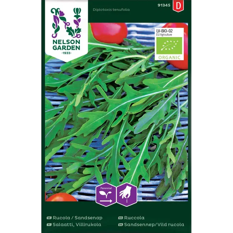 Rucola / Sandsenap, Organic