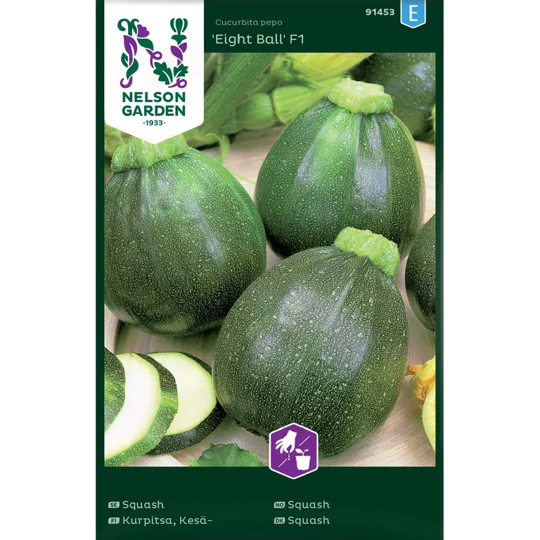 Squash, Eight Ball F1