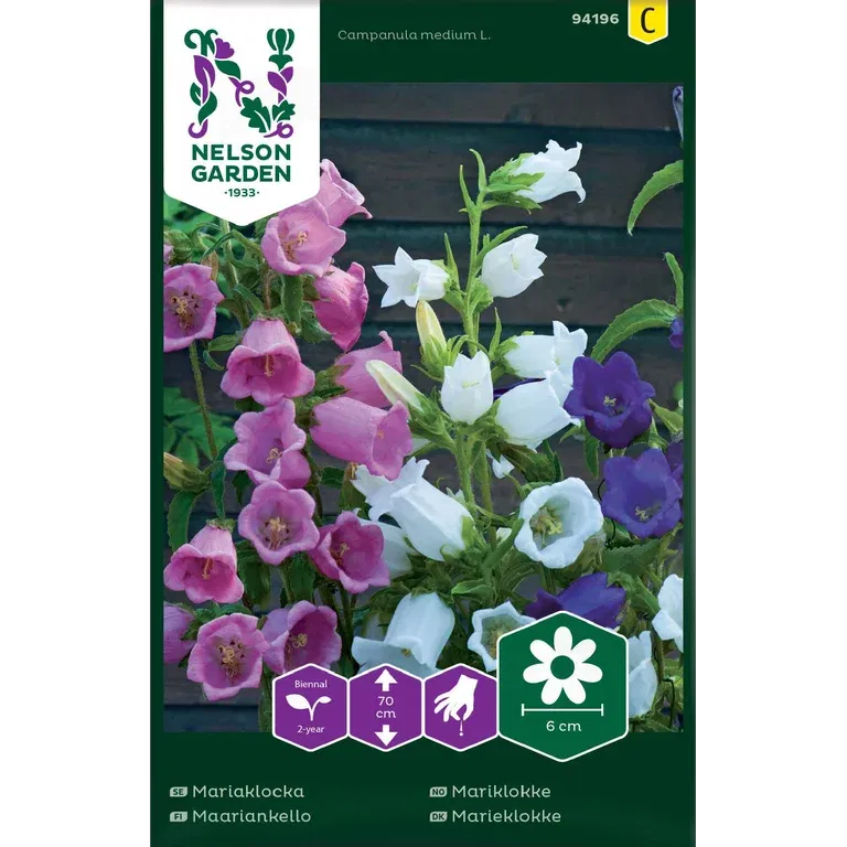 Mariaklocka, Enkel, bl färger