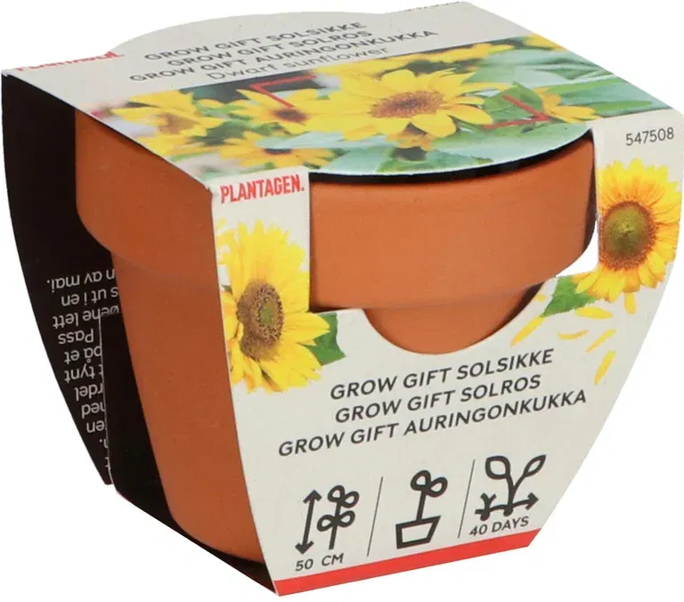Grow Gifts Sunflower