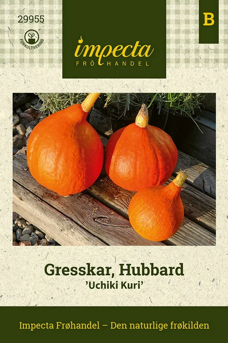 Gresskar, Hubbard 'Uchiki Kuri'