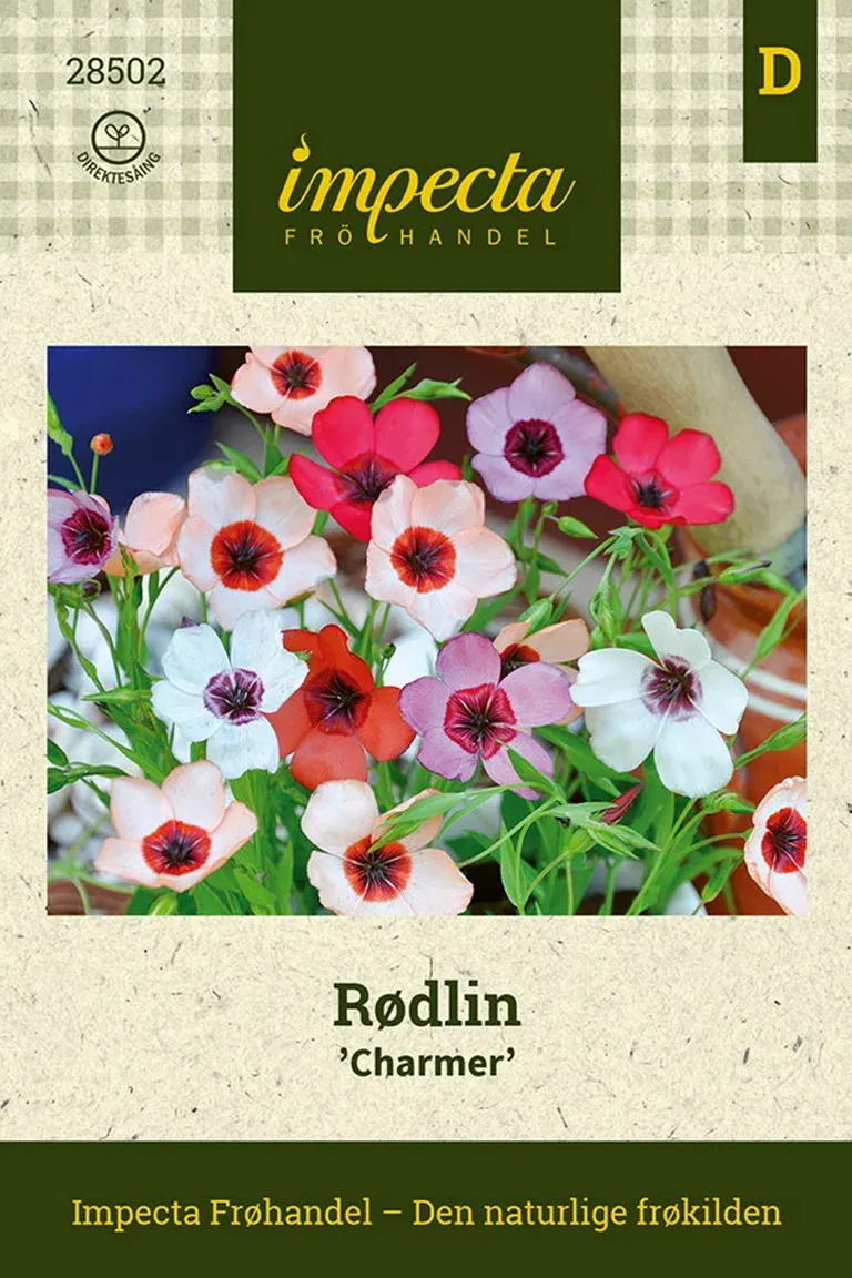 Rødlin 'Charmer'
