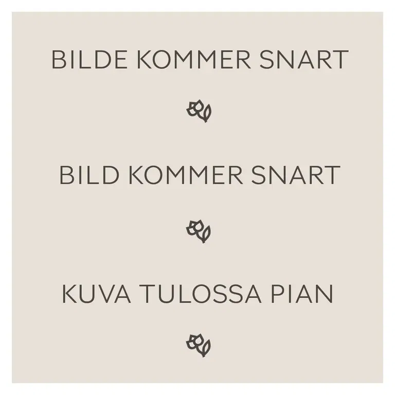 Aronia melanocarpa fk MOSKVA 4,5L