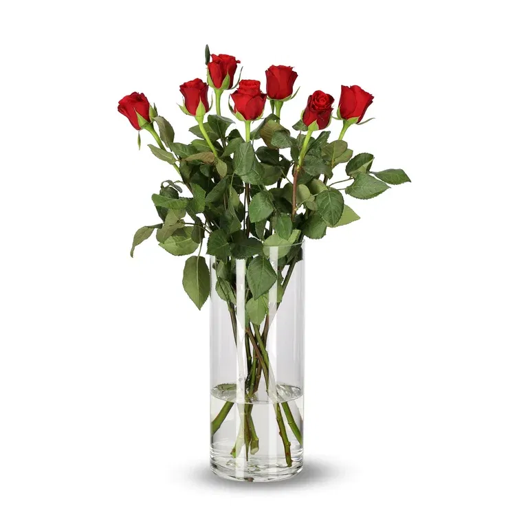 Roses Premium Red 50cm YR