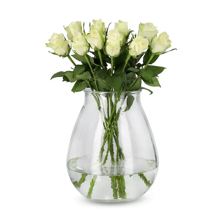 Roses Premium White 50cm YR