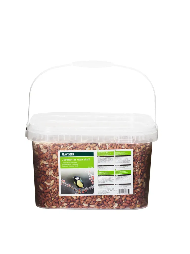 Peanuts 5.5kg in a bucket