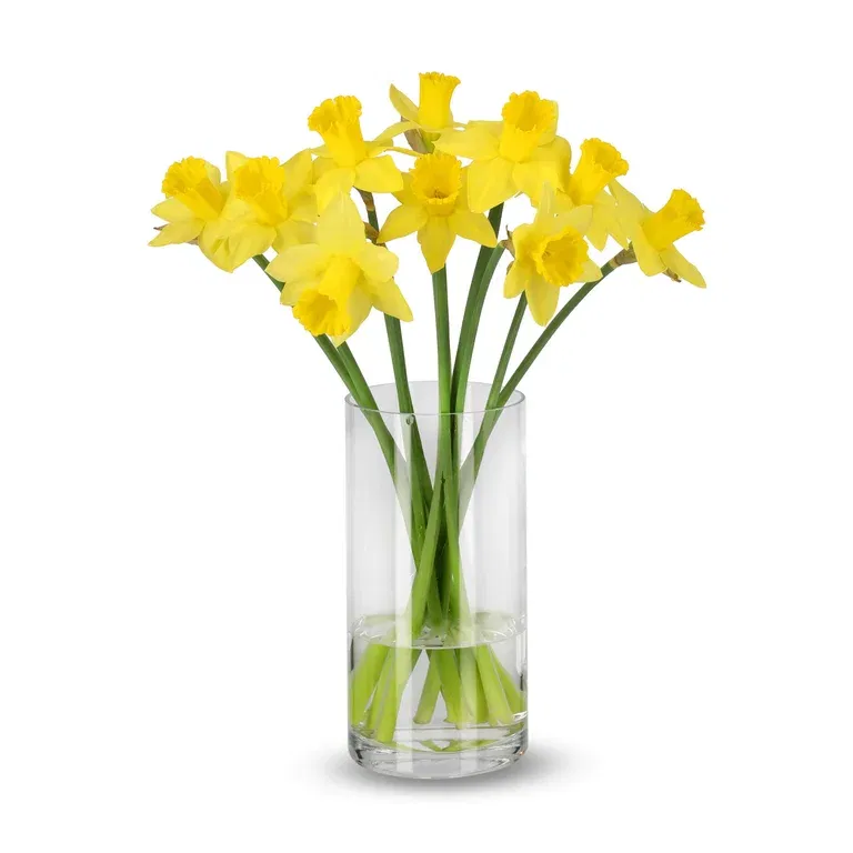 Narcis bunch 10pk Easter