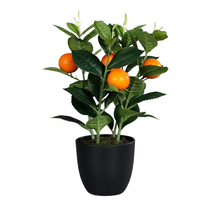 Sitrusplante kunstig