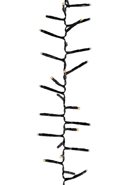 Light Chain Complete Cluster