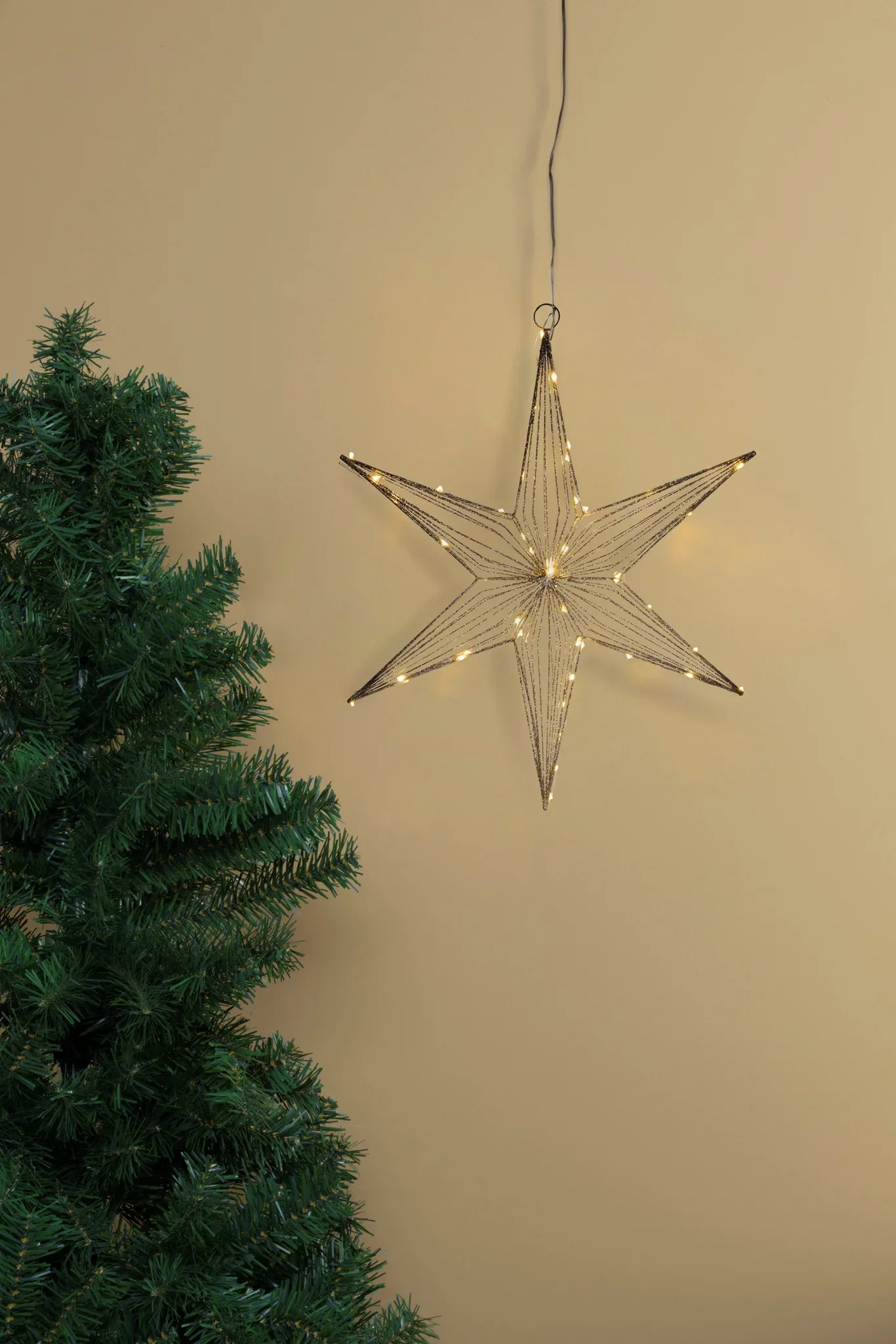 Adventsstjerne Champagne