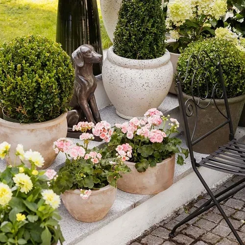 Terrakottapotter gir plantene et optimalt miljø