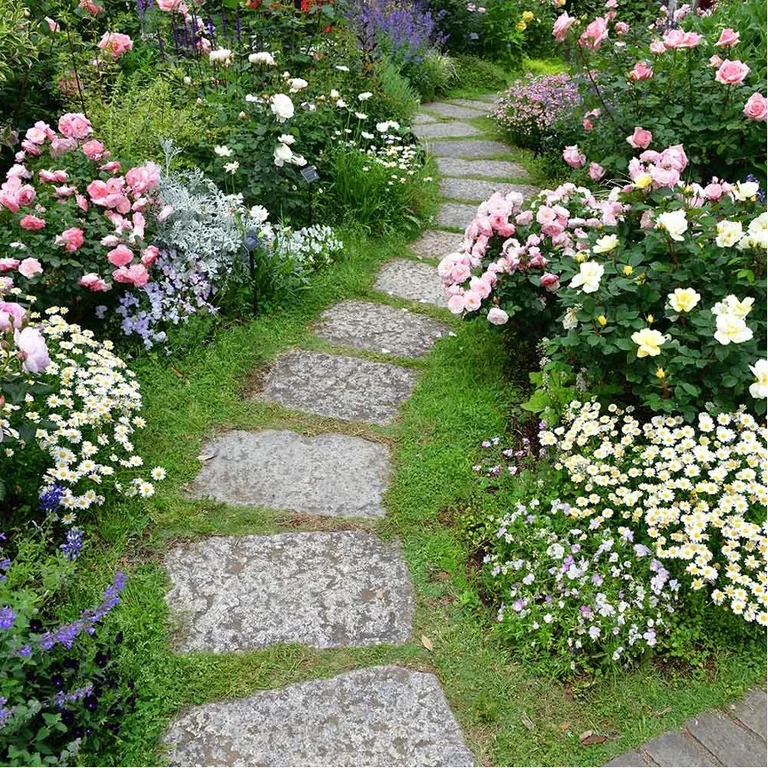 Lage rosehage – slik lykkes du