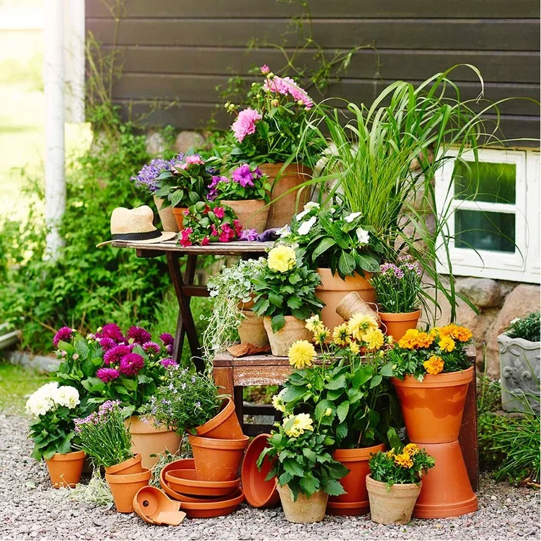 Plant en hage i potter