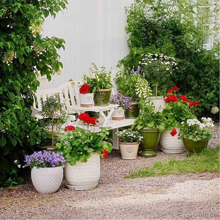 Plant en hage i potter