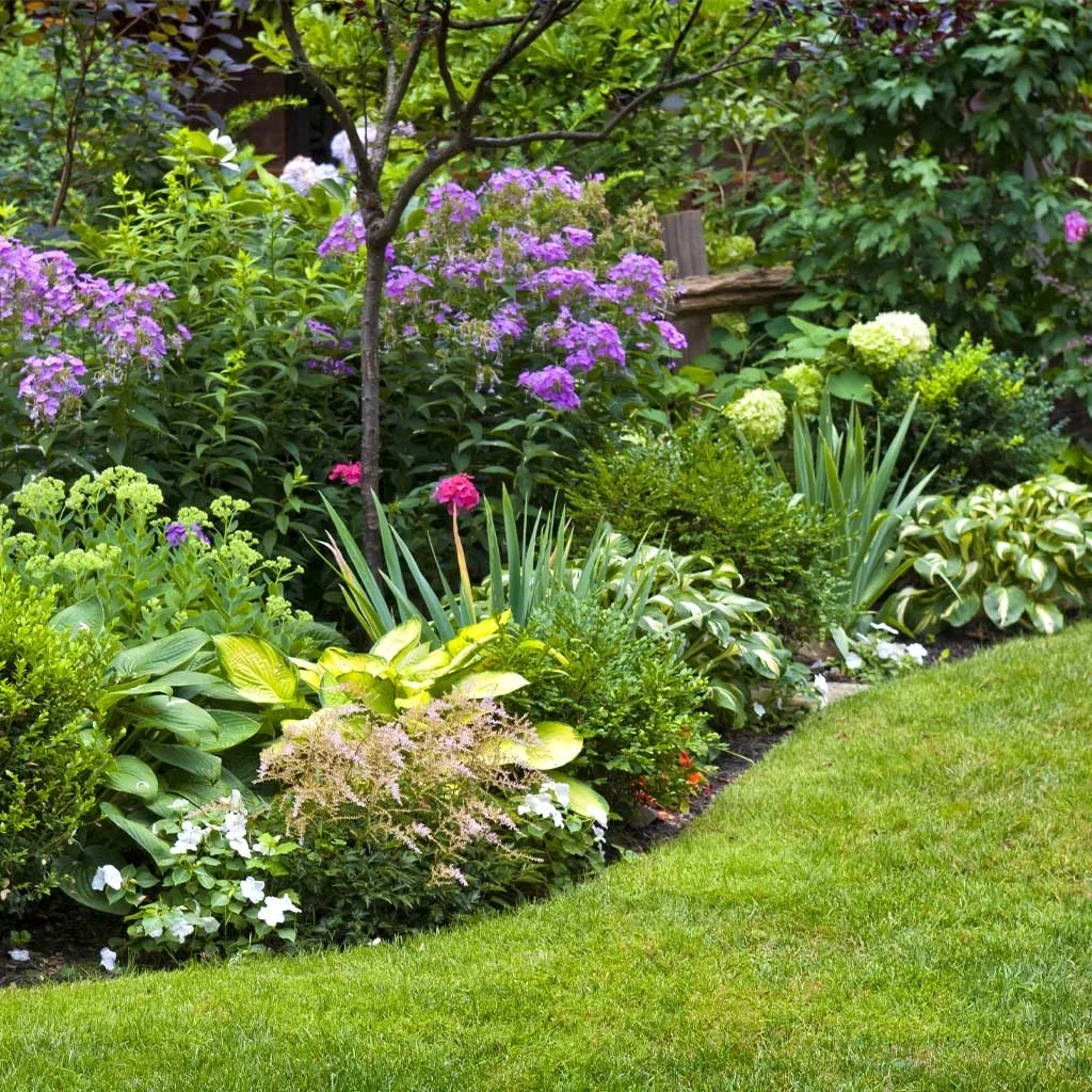 Blomsterbed – slik lykkes du 